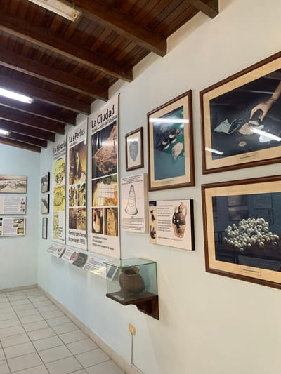 This image captures an interior view of a museum exhibition, possibly a historical or cultural display. The walls are a light color and are adorned with various framed pictures, posters, and informational panels. Prominently displayed are several large, vertical posters with Spanish text and images, which appear to be informative exhibits. One poster, titled "La Historia La Historia de La Ciudad," depicts historical scenes and artifacts. Another, "Las Perlas del Cubagua," features portraits and images related to pearl fishing. A third, "La Ciudad Nueva Cádiz de Cubagua," showcases aerial views and urban layouts.

Several framed photographs hang on the wall. One shows a close-up of what appears to be a hand sifting through small, round objects, likely pearls, with a label that reads "PERLAS DE MARGARITA." Another framed image displays a collection of similar round objects arranged in a cluster. Smaller framed pieces are also visible, including one with a coat of arms and another with an illustration of a ceramic vessel and text.

In the foreground, a glass display case contains an earthenware pot. The room has a tiled floor and a wooden ceiling with exposed beams and fluorescent lighting. The overall ambiance suggests a well-maintained exhibition space dedicated to local history and natural resources. The mention of Cubagua and Margarita in the text suggests a connection to Venezuelan history, specifically the pearl diving industry that was prominent in that region. However, the location in Boca del Río, Venezuela, is not explicitly confirmed by any visual cues within the image itself.