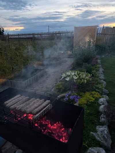 This image depicts an outdoor scene in Priboi, Russia, likely during dusk or early evening given the soft, diffused light and the colors in the sky. The primary focus is a barbecue with several rows of elongated, raw meat kebabs positioned on a grill directly above glowing red-hot coals. Smoke is rising from the grill, indicating the cooking process has begun.

The setting appears to be a garden or backyard. To the left of the barbecue, a wooden fence runs horizontally across the frame, with more vegetation visible beyond it. The sky above the fence is filled with dramatic clouds, tinged with warm sunset colors, suggesting the end of the day. A pathway, possibly made of gravel or packed earth, leads away from the barbecue and towards a landscaped area. This area features a variety of plants, including leafy green bushes, smaller flowering plants with purple and white blooms, and some taller, slender plants. A low stone border lines the flower bed. In the background, more wooden fencing and some greenery are visible, along with a glimpse of what might be a greenhouse structure covered in translucent material.

The overall atmosphere is relaxed and suggests a casual gathering for a meal, with the focus on the food being prepared. There is no visible text in the image.