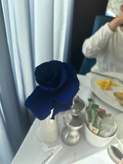 A single, dark blue rose in a small white vase occupies the left foreground, resting on a white tablecloth. To the right of the vase are two silver-toned grinders, likely for salt and pepper, and a white ceramic holder containing assorted individual packets, consistent with sugar or sweetener. A crumpled white paper wrapper, bearing partial text such as "CTD AWII," lies on the tablecloth near the vase. A silver spoon is partially visible in the bottom right corner.
In the blurred background, a person wearing a white long-sleeved shirt is seated at the table; their face is obscured, and their right arm appears raised towards their head or face. A portion of a dark blue chair is visible behind them. A partially visible white plate on the right side of the table holds scrambled eggs and another indistinct food item. Light-colored, possibly pale blue, vertical drapes are present in the left background, suggesting a window. The environment is an indoor dining area. There is no visual information within the image to specify the location as Rum Cay, Bahamas.