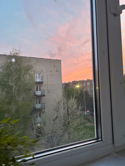 The image captures a view looking out from an indoor window, framed by a white window sill and frame. The perspective is slightly rotated, with the horizon line slanted.

The sky is a prominent feature, displaying the vibrant colors of either a sunset or sunrise, with streaks of orange and pink blending into a light blue. An illuminated streetlight in the mid-ground further suggests dusk or dawn.

Several multi-story residential buildings are visible. In the foreground, a large, light-colored brick building dominates the left side of the frame, featuring multiple windows and exterior metal structures, possibly fire escapes or balconies. Further in the background, another brick building with a reddish-brown hue and numerous windows is partially visible.

Trees with fresh, light green leaves and white blossoms, indicative of springtime, are abundant throughout the scene, partially obscuring the buildings and what appears to be a courtyard or playground area with some red and blue structures. Green plant leaves are visible in the bottom right corner, suggesting an indoor plant near the window.

No people or explicit activities are visible, presenting a quiet, observational snapshot of an urban or suburban landscape in Dmitrievskaya, Russia, during the transitional hours of the day. No discernible text is present in the image.