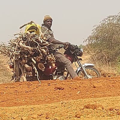 The image, rotated clockwise by 90 degrees, depicts two individuals on a motorcycle heavily laden with firewood or cut branches, traveling on a reddish-brown dirt road.
The person driving the motorcycle, positioned on the left side of the frame (when correctly oriented), wears a light-colored beanie or cap and a patterned or camouflage-like long-sleeved top. Their hands are on the handlebars. A second person is seated behind the driver, also facing forward, wearing a dark shirt and pants.
The motorcycle itself is largely obscured by the enormous bundle of firewood, which is piled high and wide over the rear wheel and seat. Within this load, a red container (possibly a fuel can or jerrycan) and a yellow bag or cloth are visible. The front wheel and part of the handlebars are discernible.
The setting appears to be a rural or undeveloped area. To the right of the motorcycle (when correctly oriented), a distinct reddish-brown dirt path or embankment with a rough, textured surface, including small stones, dominates the foreground. In the background, under a bright, hazy sky, dry, sparse vegetation and trees can be seen.
The activity clearly shows the transportation of a substantial quantity of firewood, likely for domestic use or sale, indicating daily life or work in a rural environment. The lighting suggests it is daytime. No text is visible in the image.