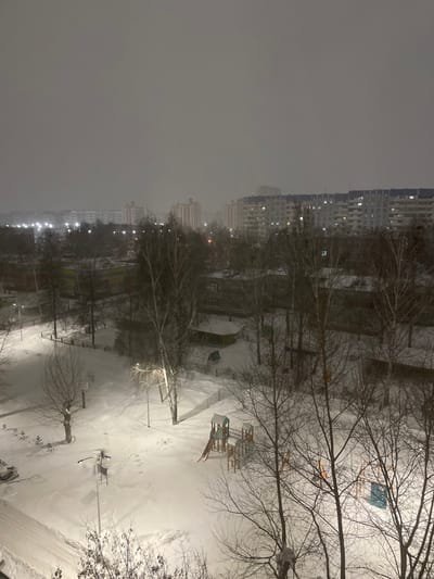 A snowy urban scene presents a high-angle view of a residential area, possibly from a window. Buildings line the horizon on the left, dimly illuminated. Bare trees frame a playground covered in snow in the foreground. Streetlights cast a cold glow, enhancing the wintry atmosphere. The sky is overcast, adding to the muted and stark landscape.