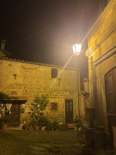 Captured at night in Castelnuovo di Porto, Italy, the image depicts a narrow street illuminated by a vintage street lamp mounted on a stone building. The building, constructed from light-colored stone blocks, features a doorway, windows, and decorative plants in terracotta pots lining the street. Overhead, another building with louvered shutters and exposed wiring lines the street. The street itself appears to be paved with stone. The light from the street lamp casts long shadows, accentuating the texture of the stone and the details of the architecture.