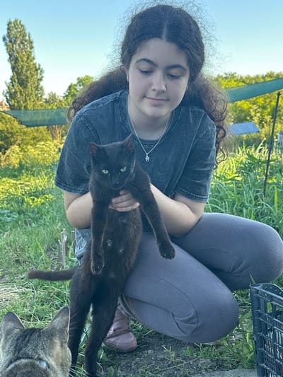In Ravna Gora, Bulgaria, a young girl with curly brown hair, wearing a dark gray t-shirt and gray leggings, kneels in a grassy area. She is holding a slender black cat upright in her arms, its front paws extended. The cat has bright green eyes. To the lower left, the back of another cat, a tabby, is visible, looking towards the black cat. The background consists of lush green foliage, trees, and a clear blue sky, suggesting an outdoor setting during daylight. A black plastic crate is partially visible on the right side of the frame.