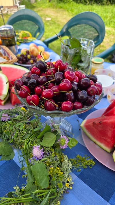 A low-angle, medium shot captures a table laid out for a picnic in a yard, likely in Kupoyarovo, Russia. A blue and white checkered tablecloth covers the table, laden with various fruits and beverages. In the foreground, a clear glass pedestal bowl overflows with a vibrant assortment of red and dark cherries. To the left of the bowl, slices of bright red watermelon are visible, with one slice resting on a pink plate. A bundle of wild herbs and small purple and yellow flowers lies to the left of the cherries, partially obscuring the watermelon. In the mid-ground, a glass pitcher filled with water and fresh mint leaves sits behind the cherries, alongside a jar of honey. Further in the background, a basket with what appears to be pastries or bread is visible, along with a French press filled with dark liquid. Two dark green plastic chairs are visible in the background, partially out of focus, suggesting a relaxed outdoor setting. The overall scene depicts a summery, al fresco dining experience.