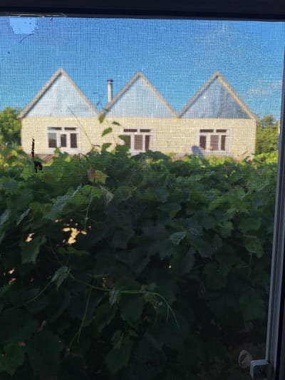 The image shows a view through a window screen of a yellow building with a light blue roofline and three prominent triangular gables. Three sets of double windows are visible on the building's facade. In front of the building, dense green foliage obscures the lower portion of the structure. The sky above is clear and blue. A small spiderweb is faintly visible on the screen, and a few dark specks, possibly insects or debris, are also present on the screen. A small light-colored object, possibly a cup, is visible on the ground below the foliage on the right side of the frame. The overall scene suggests a residential setting, likely in Nabran, Azerbaijan, given the context of the question.