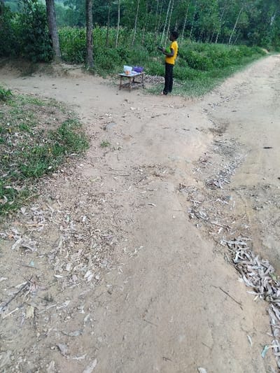 This image depicts an outdoor scene at a dirt road junction in Butsotso central ward, Kenya. An unpaved, light-brown earthen road forks, with one branch extending towards the foreground and another curving to the right. The road surface is uneven and covered with scattered dry leaves and small rocks, with sparse patches of green grass and weeds along its edges.
One individual, dressed in a yellow short-sleeved shirt and dark trousers, stands upright to the left of the road junction, facing slightly towards the camera. The individual is holding a green, possibly spherical, object in their hands. Adjacent to the individual, positioned on the left side of the road, is a small, rustic, light-brown wooden table. On the table, a white plastic bag or container is visible on the left, and several purple-colored items, possibly produce, are arranged on the right.
The background consists of dense green foliage, including numerous slender-trunked trees and various bushes, indicative of a vegetated or forested area. The lighting suggests daytime conditions.
