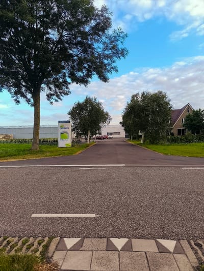 The image depicts a scene outside the Gitzels company building in Wervershoof, Netherlands. The perspective is from a road, looking towards the entrance of the facility. In the foreground, a tarmac road with a white line marking is visible, bordered by a decorative concrete edge with triangular patterns. Beyond the road, a paved pathway leads to the company. To the left, a large tree stands tall, and to its right, a white sign with the Gitzels logo and text is prominently displayed. Behind the sign, a row of greenery and a greenhouse structure with a translucent roof can be seen.
Further into the scene, a modern building, likely the company's main facility, is situated. Several vehicles, including a red car and a white car, are parked in front of this building. To the right of the facility, a large, traditional-style house with a dark roof and windows is visible, surrounded by lush green grass and trees. Two prominent trees, possibly birch trees with white bark, stand between the modern building and the house. The sky above is a clear blue with scattered white clouds. The overall impression is that of a well-maintained business and residential area on the outskirts of a town, likely in a rural or semi-rural setting.