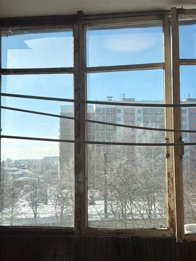 The image displays an exterior view through a multi-paned, weathered wooden window frame. The frame exhibits signs of significant wear, including peeling paint and deteriorated wood, particularly along the vertical and horizontal mullions. Three thin, dark, horizontal rods are positioned in front of the lower two-thirds of the window panes, running parallel to the ground.
Beyond the window, under a clear, bright blue sky, an urban winter landscape in the city of Kushlyanshchina, Russia, is visible. In the mid-ground, a prominent multi-story residential building stands, characterized by its light-colored facade with a central reddish-brown section. Several other similar apartment blocks are discernible further in the background. The ground is uniformly covered in snow, and numerous bare deciduous trees and shrubs, indicative of winter, are scattered throughout the landscape, many appearing lightly frosted. No individuals or specific actions are depicted within the scene. The overall environment suggests a cold, clear day in a residential area.