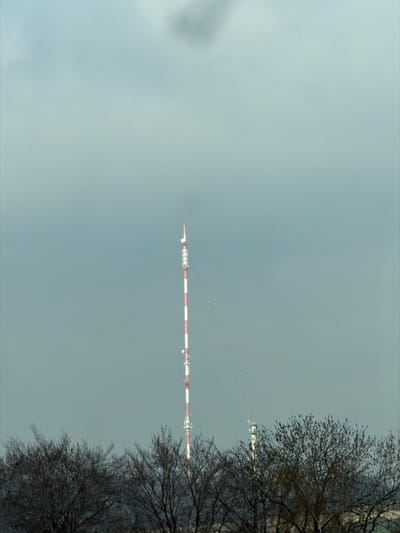 The image displays a prominent telecommunications tower located in Pagny-sur-Meuse, France. The primary structure is a tall, slender mast characterized by alternating horizontal red and white stripes. Multiple platforms and antenna arrays are visible at various heights along the tower. To the right and slightly behind the main tower, a smaller, thinner white tower is partially visible. The foreground is dominated by a dense line of bare deciduous trees with dark, intricate branches, suggesting a winter or early spring season. The sky above is uniformly overcast, presenting a muted, hazy gray-blue color. Numerous small, light-colored specks are scattered in the sky, primarily around the central tower. No individuals or specific actions are discernible.