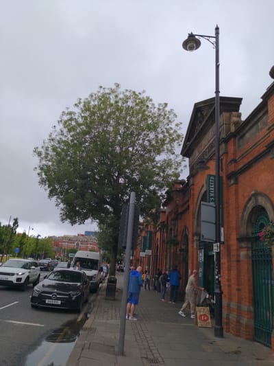 The image shows a street scene in Belfast, United Kingdom, with the historic St. George's Market prominently featured on the right side of the frame. The market building is constructed of red brick with arched doorways and decorative stonework. A tall black lamppost stands in front of the market. A large, leafy tree is situated to the left of the market, partially obscuring the view of the sky.
On the sidewalk in front of the market, several people are visible. A man in a blue jacket and shorts stands near the foreground, and another man in a beige t-shirt and trousers is interacting with a sign that reads "Neapolitan Pizza In The Market." A group of people are walking or standing further down the sidewalk, near the entrance to the market.
The street in front of the sidewalk is lined with parked vehicles, including a white Range Rover, a black Mercedes-Benz, and a white van. The road surface appears wet, suggesting recent rain. The sky is overcast with heavy grey clouds. The overall atmosphere is that of a typical urban environment on a cloudy day, with the market serving as a central point of interest.