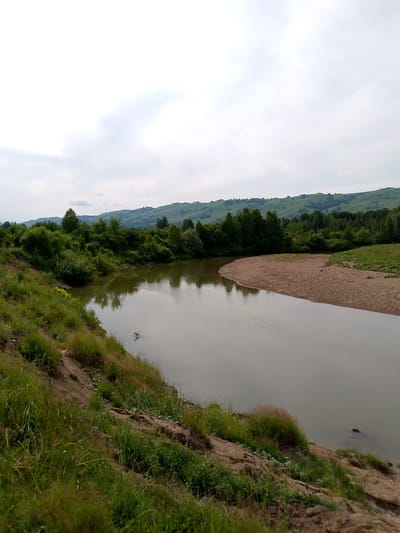 The image depicts a wide, slow-moving river with a sandy bank curving into the frame on the right. Lush green vegetation, including trees and grass, covers the riverbank on the left and the distant hills in the background. The sky is overcast with pale clouds. In the river, there is a small, circular object with a dark center, possibly a buoy or a floating debris. The overall scene suggests a natural, undeveloped landscape in the vicinity of Novozykovo, Russia.