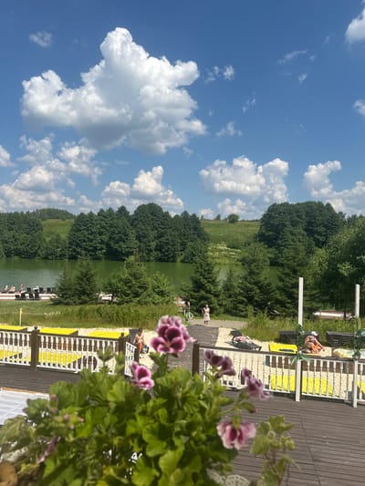 This is a vertical, full-shot photograph taken on a sunny day with scattered clouds, likely in the afternoon. The scene is set at a waterfront recreational area, possibly a beach or resort, in Dal'nie Prudishchi, Russia.
In the foreground, vibrant pink and purple flowers with green foliage partially obscure the view. Beyond the flowers, a wooden deck runs parallel to the water. Several lounge chairs, some with yellow towels, are arranged on a sandy area next to the deck. A white railing separates the deck from the sandy area.
In the middle ground, a body of calm, green water, likely a lake or pond, is bordered by lush green trees and grassy banks. A few people are visible near the water's edge. On the deck, a few individuals are sunbathing or relaxing in lounge chairs. One person in an orange bikini is lying on a lounge chair, and another person is partially visible. Further down the deck, other figures can be seen, some appearing to be standing.
The background consists of a dense line of green trees and rolling green hills under a bright blue sky with fluffy white clouds. The overall atmosphere is one of a pleasant summer day at an outdoor leisure spot. No text is visible in the image.