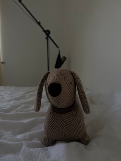 A stuffed dog toy is positioned centrally on a white, textured bedspread. The toy is brown with a herringbone pattern and has long floppy ears, a black nose, and small eyes. It is wearing a dark brown collar. Behind the toy, a black metal stand with an adjustable arm is visible, extending diagonally upwards and to the left, with a black object attached to its end. The background is a plain, light-colored wall. The lighting is dim, casting soft shadows. The scene appears to be indoors, in a bedroom. There is no indication of Balbriggan, Ireland, in the image.