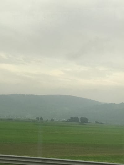 The image displays a rural landscape near Ruși-Ciutea, Romania, under an overcast sky with significant atmospheric haze. The upper approximately 40% of the frame consists of a light grey, largely featureless sky with faint, diffused cloud formations. Below the sky, a continuous, undulating ridge of mountains or hills, densely covered in vegetation, spans the horizon. These distant landforms appear desaturated and blue-grey due to atmospheric conditions. In the mid-ground, a vast expanse of vibrant green field, indicative of agricultural use or pasture, occupies the central portion of the lower frame. Scattered clusters of dark green trees and faint, indistinct structures are discernible in the distance above the field, partially obscured by haze. A prominent grey metal guardrail is visible along the bottom edge of the frame, suggesting a viewpoint from a roadside. No human figures or specific actions are present in the scene. The overall lighting is soft and diffused, consistent with an overcast day.