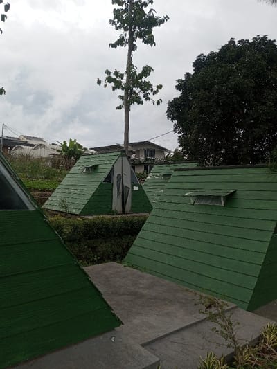 The image displays an outdoor scene in Abbireddygudem, India, featuring multiple green A-frame structures under an overcast sky. In the foreground and midground, three distinct A-frame buildings are visible, each clad in green, horizontally paneled material that shows signs of weathering. The central A-frame structure presents a partially open, light-colored bifold entrance. To its immediate right, another A-frame exhibits a small, elevated rectangular window or vent opening. Concrete pathways and steps are integrated into the terrain around these structures, which are surrounded by dense green shrubbery and other low-lying vegetation. In the background, a tall, slender tree with sparse foliage stands prominently, alongside a large, densely leafed tree to its right. Behind the A-frames, a multi-story building with a light-colored facade and dark roof is visible. Further left in the background, white-roofed structures, possibly greenhouses, are discernible, along with utility poles and overhead wires. No individuals are present within the scene.