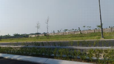 This is a photograph taken from a roadside viewpoint in Trosobo, Indonesia, looking towards a landscape characterized by development and greenery. The foreground features a paved road, bordered by a low concrete wall with a dense growth of green bushes and saplings planted along its top. Beyond this, a strip of manicured green grass slopes upwards towards a second, higher concrete barrier.
The middle ground is dominated by a long, segmented concrete wall, likely a boundary or retaining wall, stretching horizontally across the frame. This wall is topped with various types of vegetation, including mature banana trees with their distinctive large leaves and a row of palm-like trees with sparse, umbrella-shaped canopies. Scattered amongst these are several young, slender trees, some with visible support stakes, appearing somewhat sparse in foliage. Beyond the concrete wall, the terrain is a mix of grass and more distant vegetation, with glimpses of buildings and rooftops suggesting a residential or commercial area.
The background consists of a clear, pale sky, with no visible clouds. A tall, dark lamp post stands prominently on the right side of the frame, anchored to a concrete base. Power lines and a distant transmission tower are faintly visible against the sky. The overall impression is one of a developing urban fringe, where infrastructure and landscaping are being established. There are no people or animals visible in the image.