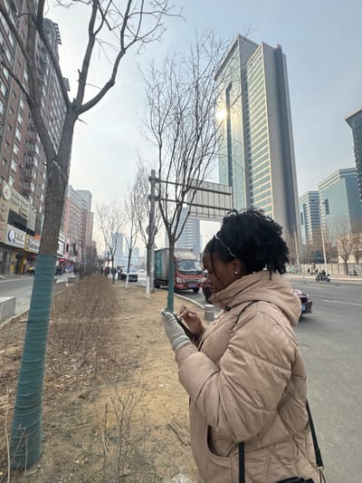 The image depicts an urban street scene in Dadong District, China, under a bright, slightly hazy sky. In the foreground, a Black female subject is observed from the mid-torso up, positioned on a dirt-covered median or undeveloped sidewalk area. She wears a tan puffer jacket, light grey knitted gloves, and a sparkling headband in her dark, curly hair, which is pulled back. Her gaze is directed downwards as she manipulates a dark-colored smartphone-like device with both gloved hands.

To the subject's left, a row of deciduous trees, some with trunks wrapped in green material, line the edge of a multi-lane asphalt road. Beyond these trees, multi-story buildings with visible windows and some Chinese character signage are present on the left side of the street. The road features several vehicles, including a red Foton box truck, a dark-colored sedan (possibly a BMW), and other cars and motorcycles further in the distance.

In the background, a prominent modern high-rise skyscraper with a glass facade reflects bright sunlight. Other less distinct glass-clad buildings are visible further back. A large rectangular sign structure spans above the road in the mid-ground. The ground cover consists of sparse, dry bushes and bare dirt, indicative of a colder season.