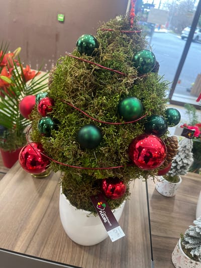 An indoor retail display in Aiguilhe, France, features a conical, moss-covered decorative piece resembling a small Christmas tree, positioned centrally on a light-colored wooden counter. The moss structure is adorned with multiple red and dark green spherical ornaments, some glossy and some matte, arranged unevenly. A thin, reddish-brown wire or garland spirals around the tree. A single natural pinecone is visible on the right side. The tree is planted in a smooth, white ceramic pot, from which a black price tag hangs, displaying "Carrément FLEURS" and "15.90". To the immediate left, a red vase holds vibrant green foliage and red-orange flowers. To the right, blurred white miniature Christmas tree decorations in small patterned pots are visible. A large window in the background reveals a blurred outdoor street scene with vehicles and buildings under an overcast sky. No individuals are present in the scene.