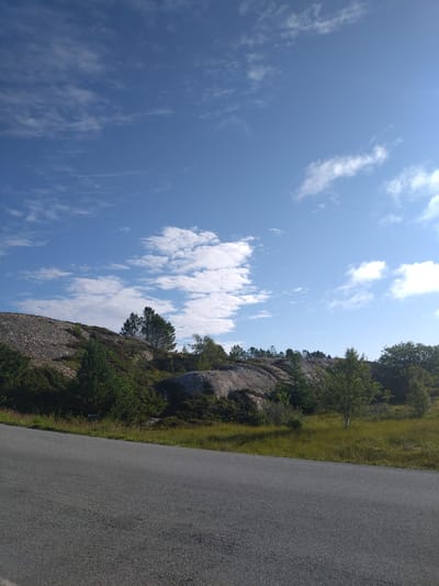 The image shows a road in front of a rocky, vegetated hillside under a partly cloudy blue sky. The location is identified as Sveggen, Norway. The foreground features a paved road with a textured grey surface, angled from the bottom left towards the right. To the right of the road, a grassy verge with some taller green grass and scattered weeds separates the road from the hillside. The hillside is covered with a mix of dark green shrubs and trees, with larger rocks and boulders interspersed throughout. Some of the larger rock formations are smooth and grey, while others have a more rough, striated appearance. A few taller trees with green foliage are visible on the hillside, including a distinct tree with lighter green leaves and a white trunk in the middle ground. The sky above is a bright blue with scattered white, wispy clouds, suggesting fair weather. The sun appears to be shining from the upper right, casting some shadows on the hillside. There are no people or animals visible in the image. The scene depicts a natural, outdoor landscape with a road providing access.