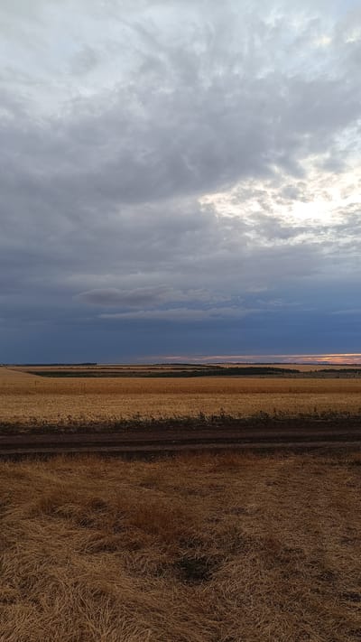 The image depicts a vast, golden field of harvested crops under a dramatic, cloudy sky in Stepanivka, Ukraine. The foreground features dry, straw-like vegetation and a dark dirt road or track. In the midground, a wider expanse of harvested fields stretches horizontally, with a darker strip of vegetation or trees in the distance. The horizon is marked by a thin band of light, suggesting either dawn or dusk, with a hint of orange and pink hues filtering through the dark, heavy clouds. The sky is filled with layered clouds, ranging from light grey and white to dark, brooding blues and purples, with a bright patch of light visible on the upper right. No people or animals are present in the scene.