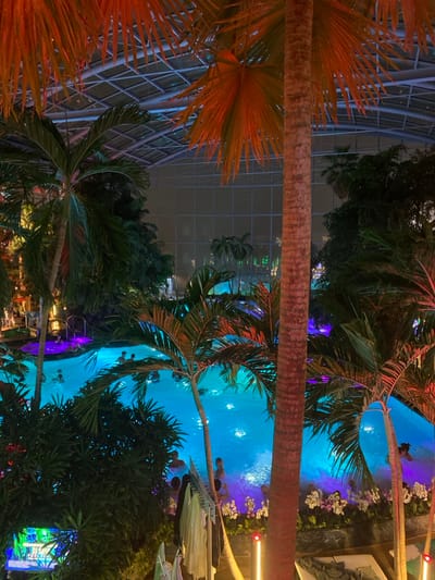 The image portrays an interior view of a large, tropical-themed water park or spa facility, identified as Therme Bucuresti, located near Săftica, Romania. The scene is illuminated at night by extensive artificial lighting. A vast, arched glass roof with a visible grid pattern encloses the structure. Below, multiple interconnected pools exhibit glowing blue and purple underwater illumination. Numerous palm trees, some with fronds highlighted in orange and red, are strategically positioned throughout the area, accompanied by other dense green foliage. Multiple individuals are present within the pools, engaging in swimming or standing in the water. A circular pool section in the mid-left shows a higher concentration of people. In the lower-left quadrant, a clothes rack with hanging garments is visible near the pool edge, alongside a partially visible lighted display screen. The lower-right corner shows two partially visible white sun loungers, vertical strip lights, and white floral arrangements bordering a section of the pool.