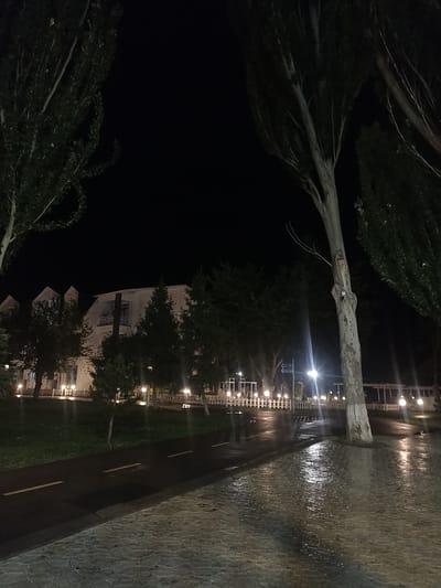 The image depicts a street scene at night in Sary-Oy, Kyrgyzstan. A paved road, marked with yellow lines, curves through the foreground. Adjacent to the road is a cobblestone walkway that appears wet, reflecting the light from streetlamps. Trees line the street, their branches reaching towards the dark sky. In the background, a building with illuminated windows and a white fence with decorative lights suggests a residential or hospitality establishment. The overall atmosphere is calm and quiet, illuminated by artificial lighting.
