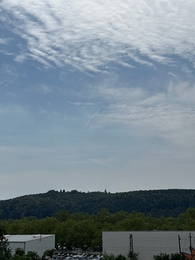 The image depicts a landscape scene with a verdant, tree-covered hill in the background. In the foreground, there are two large, white industrial-style buildings. The sky is a pale blue with scattered, wispy clouds, and a faint contrail is visible. Below the hill, a dense forest of green trees forms a distinct line. To the left, a white building with a grey roof is partially visible. To the right, another white building features visible electrical infrastructure, including poles and wires. A parking lot with numerous cars is situated between the buildings and the forest. The scene appears to be a suburban or industrial area on the outskirts of Bonn, Germany, likely during daytime.