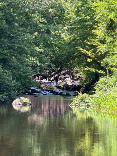 This is a photograph of a tranquil natural scene, likely taken in a park or wooded area. In the foreground, a body of calm water reflects the surrounding foliage, creating a soft, rippling effect. A large, moss-covered rock sits in the water on the left side of the frame. The water appears to be a river or stream, as evidenced by the visible rocks and a shallow, rocky section further in the background. This rocky area is bordered by dense, lush green trees and vegetation that create a canopy over the water. The overall impression is one of a peaceful, secluded natural environment bathed in sunlight. The image does not contain any people or discernible man-made structures, suggesting it is an untouched natural landscape. Without further information, pinpointing the exact location within Peterborough, United States of America, is not possible from the visual data alone.