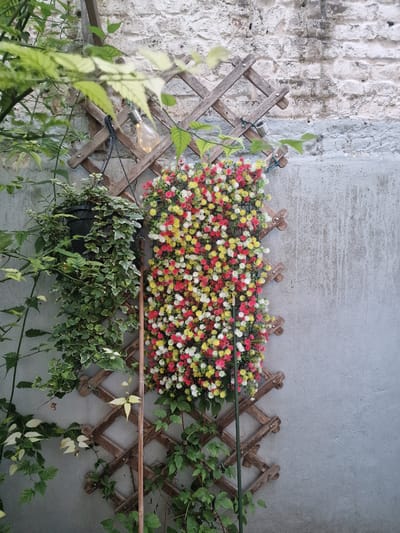 This is a medium shot, eye-level, exterior photograph taken in Saint-Josse-ten-Noode - Sint-Joost-ten-Node, Belgium. A weathered wooden lattice is affixed to a gray concrete wall, which is partially covered by a rough, off-white brick wall at the top. On the left side of the lattice, a dark plastic planter hangs, filled with a dense, cascading vine with variegated green and white leaves. To the right of the planter, a section of the lattice is covered with a dense arrangement of small, artificial flowers in red, yellow, and white. The flowers are tightly packed, creating a vibrant floral display. In the background, through the lattice, an illuminated incandescent light bulb is visible. Green foliage from unseen plants partially obscures the top left corner of the image. A thin, dark green stake stands vertically in front of the floral display. The overall scene suggests a decorated outdoor space, possibly a courtyard or balcony.