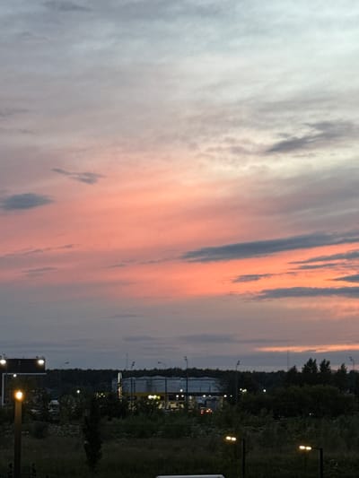 The image depicts a dusky sky with hues of pink and gray clouds, indicative of sunset or twilight. In the middle ground, a forest line is visible, and beyond it, several structures with lighting can be seen, including what appears to be a large building or industrial complex with a canopy. The foreground consists of dark vegetation and a few streetlights, one of which is illuminated. The scene appears to be located in a semi-urban or suburban area, likely on the outskirts of Drozhzhino, Russia, given the presence of industrial-looking buildings and a natural tree line. No people are visible in the image.