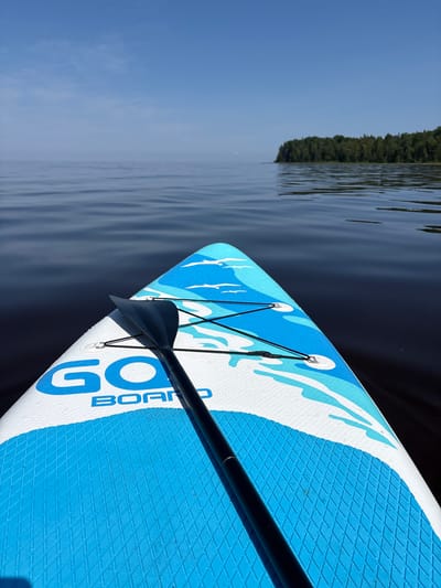 The image shows a close-up perspective from the front of a stand-up paddleboard, which is on calm, dark water. The paddleboard is blue and white with a textured grip pad and the logo "GO BOARD" in blue lettering. A black paddle rests on the board. In the distance, a tree-lined shoreline with a clear blue sky is visible. The scene appears to be a body of water near Pedasel'ga, Russia, on a bright, clear day. There are no people or any other subjects present in the image.