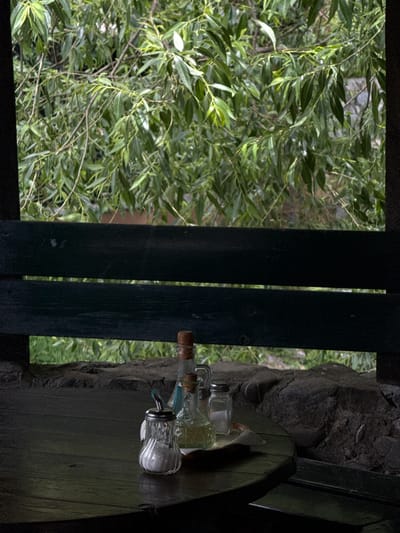 This image captures a collection of glass bottles and jars arranged on a wooden surface, possibly a table or shelf, within an outdoor setting. The bottles are of various shapes and sizes, some appearing to contain liquids while others seem empty. One prominent object is a small, fluted glass jar with a metal shaker top, containing a white granular substance, likely salt or sugar. Another bottle, stoppered with a cork, is positioned to its left. The background reveals lush green foliage, suggesting a natural environment, possibly a garden or woodland. Behind the bottles, a rough, textured stone surface is visible, adding to the rustic feel of the scene. Two dark wooden vertical planks frame the left side of the image, creating a sense of depth and separation. The lighting suggests it might be daytime, possibly late afternoon, with soft, diffused light illuminating the objects. There is no visible text in the image. The overall impression is one of still life arrangement in a serene, natural setting. The context of Kolašin, Montenegro, implies a mountainous or forested location, which aligns with the visual elements presented.