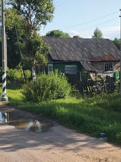 The image depicts a weathered wooden house with a corrugated metal roof, situated in a rural setting, possibly in the city of Zizino, Russia. The house has green painted sections and wooden plank siding, with several windows, some boarded up. A dilapidated wooden fence surrounds the property, which is overgrown with tall grass and bushes. In the foreground, a dirt road features a large puddle of water reflecting the sky and surrounding vegetation. A striped utility pole stands to the left of the frame, and power lines are visible against a blue sky with scattered clouds. The scene appears to be a quiet, possibly abandoned, rural homestead.