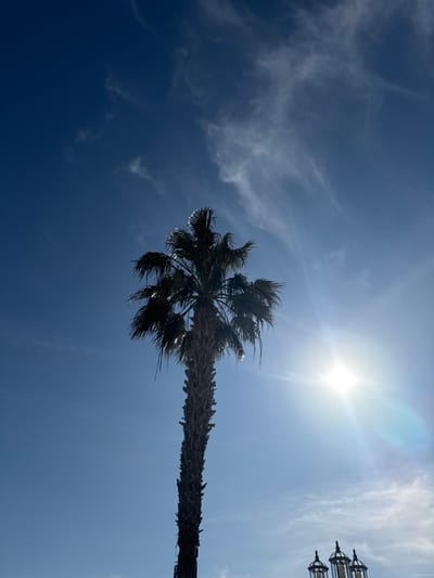 The scene depicts an outdoor environment in Fuente Álamo de Murcia, Spain, under bright daylight conditions. A tall palm tree, silhouetted, occupies the central and left portions of the frame, extending upwards from near the bottom edge. Its trunk is dark and textured, while its fronds at the crown are also dark and appear spiky. The sky is a clear, medium blue, with sparse, wispy cirrus clouds present in the upper left and upper-middle sections. The sun is positioned in the lower-right quadrant, appearing as an intense white light source, generating a prominent starburst lens flare that extends across the lower-right and mid-right areas, characterized by concentric rings of blue, green, and yellow light. In the lower-right corner, partially obscured by the sun's glare, are the dark, silhouetted forms of three ornamental street lamps or light fixtures, each featuring a tiered structure with visible finials. No individuals are present in the image.