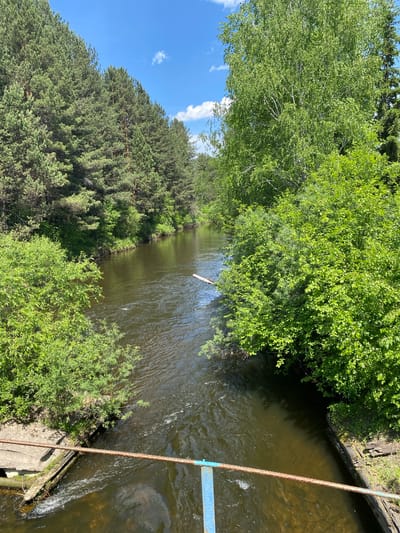 This is a daytime, high-angle, vertical shot of a river flowing through a wooded area. The river has dark, choppy water, and a fallen log lies across it. The banks are lined with dense green foliage, including pine trees on the left and a mix of deciduous trees and bushes on the right. The sky is blue with scattered white clouds. In the foreground, a rusty chain and a blue metal support are visible, suggesting the vantage point is from a bridge or walkway. The scene is located in Bolshoy Lug, Russia.