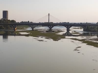 The image shows a wide river with a bridge spanning across it. In the background, there is a tall, modern building, and a suspension bridge with a prominent pylon and cables. The river is partially covered with aquatic vegetation, forming patches of green on the surface. The water reflects the sky and the bridge, creating a serene and tranquil scene. The lighting suggests it is either early morning or late afternoon. The location is the Guadiana River in Badajoz, Spain, with the bridge being the Puente de Palmas. The building in the background is likely the Edificio de la Universidad Laboral, although it is not clearly identifiable from this image alone.