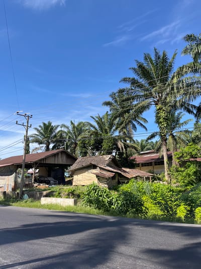 The image depicts a roadside scene in Bukitrata, Indonesia. A paved road runs along the right side of the frame, casting shadows that suggest it is daytime. On the left, a clear blue sky with a few wispy clouds is visible, interspersed with power lines and a utility pole.

The focal point is a cluster of palm trees with dense foliage, their fronds reaching towards the sky. Behind the trees, there are several structures. One building appears to be a house with a reddish-brown roof and windows. Adjacent to it, a more dilapidated structure with a weathered wooden exterior and a corrugated metal roof is present. Some tarps and what appear to be covered objects are visible within and around this structure, suggesting ongoing work or storage.

Lush green vegetation thrives along the roadside and behind the buildings, indicating a tropical or subtropical environment. The overall scene suggests a rural or semi-rural setting, possibly a village or a residential area on the outskirts of a town. There is no discernible activity or people in the image. The weather appears to be clear and sunny. The image is oriented vertically.