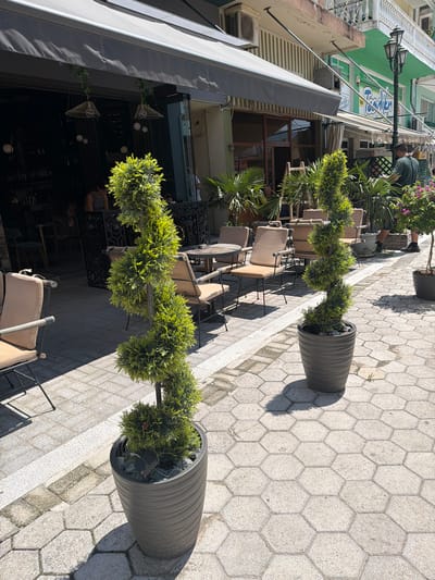 The image shows an outdoor seating area of a cafe or restaurant. Two large, dark gray planters with sculpted, topiary-style evergreen plants are prominently placed on a hexagonal paved walkway. The plants have a whimsical, almost spiraled shape. In the background, tables and chairs with light-colored cushions are set up for patrons. Some of the tables have intricate metal bases.
To the left of the seating area, a building with a green facade is visible. It has awnings and windows, and a street lamp with multiple lights is mounted on a pole. A sign with blue and white text, possibly advertising the establishment, is attached to the building. Further to the left, parts of other buildings and air conditioning units are visible. The paving stones have a light gray, speckled appearance. Shadows suggest it is daytime, likely a sunny day given the bright lighting. There are glimpses of people in the background, but they are not the main focus. One person is bent over near the street lamp, and others are seated at tables or walking. The overall impression is a pleasant, sunlit outdoor dining space. The location context provided is Prosotsani Municipal Unit, Greece, which aligns with the architectural style and outdoor cafe setup.
