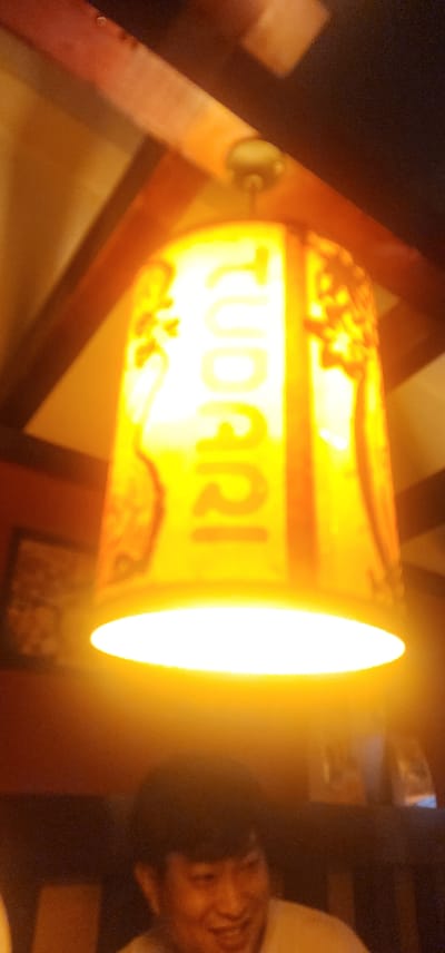 A close-up, low-angle shot shows a brightly lit, decorative lampshade in the center of the frame. The lampshade is cylindrical and appears to be made of parchment or a similar translucent material, with vertical lettering that reads "TUDOR" in large, bold, white letters. Decorative figures or patterns are visible on the left and right sides of the lampshade, illuminated by the internal light. The lampshade is suspended from a wooden ceiling structure with visible beams. Below the lampshade, the top of a person's head and face is visible, slightly out of focus. The person, appearing to be male with dark hair, is smiling. The background is dark, with hints of wooden architectural elements and a framed picture on the wall to the left. The overall lighting is warm and yellowish, suggesting an indoor evening setting, possibly a restaurant or home in the vicinity of Ansan, South Korea, given the context.