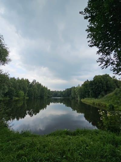A tranquil lake is bordered by dense, green trees and lush grass. The sky is overcast with clouds, and the trees are reflected in the still water, creating a mirror image. The scene appears to be in a natural setting, likely a park or forest. The location is identified as Ulitkino, Russia, suggesting a rural or suburban area. There are no people or animals visible in the image, and the overall mood is peaceful and serene.