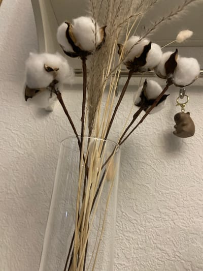 The image displays an indoor scene, possibly within a residence in Новогорелово, Russia. In the foreground, a clear, tall glass vase contains a dried floral arrangement. This arrangement primarily consists of multiple cotton bolls on dark brown stems and numerous dried, slender stalks, varying in color from light beige to dark brown, resembling reeds or ornamental grass. A smaller, fuzzy, light beige dried floral element is also visible among the stalks. Behind the arrangement, a light-colored wall with a textured finish serves as the background. Partially visible across the upper mid-section of the image is a metallic horizontal rail with several hooks. Hanging from one of these hooks is a keychain featuring a small, light brown, stylized figurine resembling a sitting bear or capybara, attached via a golden metal ring and clasp. No individuals are present in the image. The scene depicts a static decorative display.