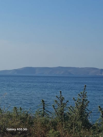The image depicts a view of the sea near Gouves Municipal Unit, Greece. The left side of the frame shows a clear, light blue sky. In the middle, a distant, hazy mountain range is visible. The right side of the image shows a body of water, possibly the sea, with visible water ripples. A patch of green vegetation, including some spiky plants, occupies the right foreground. The text "Galaxy A55 5G" is present in the bottom right corner of the image, indicating the device used to capture the photograph.