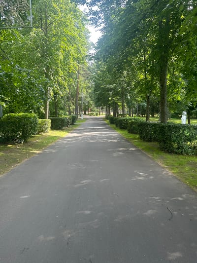 The image depicts a straight asphalt pathway bordered by meticulously trimmed green hedges and tall trees with lush foliage. The pathway extends into the distance, flanked by grassy areas on either side. Sunlight filters through the leaves, casting dappled shadows on the ground. In the background, more trees and a glimpse of a white structure, possibly a statue, are visible. The overall scene suggests a well-maintained park or a tree-lined avenue in a tranquil setting. This location is identified as a park in the city of Smolyachkovo, Russia. There are no people or animals visible in the image, and no specific actions or interactions are depicted. The environment is characterized by abundant greenery and a clear, sunny day.