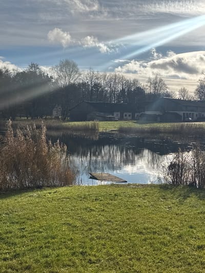 The image depicts a rural landscape in Strigailiškis, Lithuania, under a partly cloudy sky with visible sunbeams. The foreground features an expanse of vibrant green grass, occupying the lower third of the frame. Immediately beyond the grass, a still body of water, likely a pond or small lake, extends across the midground. The water's surface reflects the sky and distant trees. A cluster of tall, dried reeds stands prominently along the left bank of the water. Centrally located within the water is a small, rectangular wooden platform or floating pier, positioned low to the water's surface. The opposite bank, beyond the water, consists of a grassy area leading to a collection of buildings. These structures include multiple grey-roofed buildings, possibly barns or agricultural storage facilities, with lighter-colored walls. A dense line of bare deciduous trees and some evergreen foliage forms a background behind and to the sides of the buildings. No individuals or active subjects are visible within the scene.