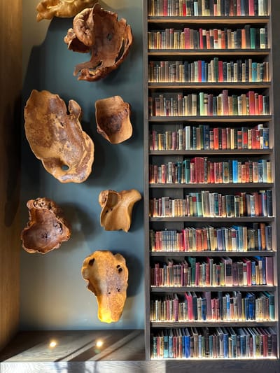 A top-down shot showcases a shelf overflowing with stacks of books, their spines tightly packed and varying in color. Below, a blue-gray wall displays a collection of irregularly shaped, carved wooden bowls and sculptural pieces. Light streams in from the side, casting shadows and highlighting the textures of both the wood and the books. The arrangement creates a harmonious blend of literary and natural elements.