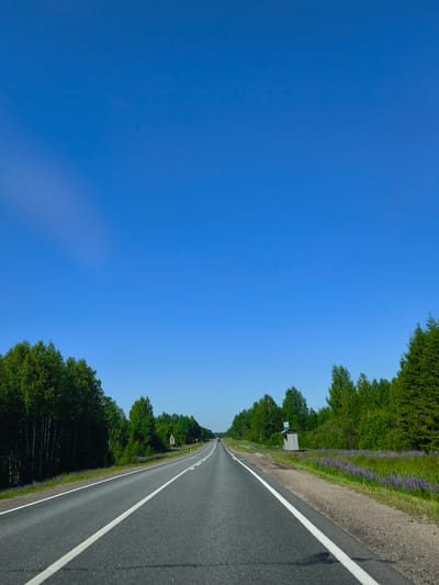 A straight, paved highway runs through a rural landscape under a clear blue sky. The road is bordered by lush green trees and fields of purple wildflowers on either side. A bus stop shelter is visible on the right side of the road, with a blue and white sign. The scene appears to be in a rural area, possibly outside of Makaryev, Russia, given the presence of birch trees and a typical Russian countryside vista. There are no people or vehicles immediately visible on the road in the foreground. The overall impression is one of a peaceful, summery day in the Russian countryside.