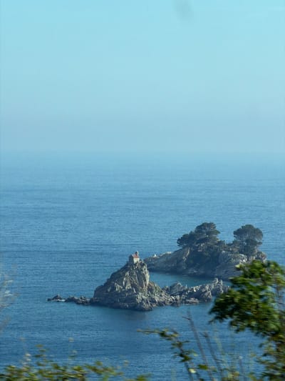 The image, correctly oriented horizontally, captures a picturesque coastal scene featuring Medinski Krš, a prominent rocky islet or sea stack in Montenegro. The central subject is the rugged, vertical rock formation, which rises dramatically from the deep blue sea. The rock surface is characterized by varying shades of grey and dark brown, indicating its weathered and ancient nature.
Perched on a distinct ledge on the lower part of the rock formation, a small, light-colored building with a reddish-brown roof is visible, likely a chapel or shrine, suggesting cultural or historical significance to the remote site. Scattered green vegetation, including small trees and shrubs, dots the upper parts and crevices of the rock, clinging resiliently to its harsh environment.
The sea surrounding the islet is a rich, deep blue, with subtle textures and ripples on its surface that suggest gentle movement. Towards the left of the frame, the water transitions into a lighter, hazy blue that blends smoothly with the pale blue sky, indicating a clear, expansive horizon.
In the right foreground, out-of-focus green foliage from a tree, consisting of leaves and branches, partially frames the scene, suggesting the photograph was taken from a nearby elevated viewpoint or a larger landmass. The overall lighting is bright and clear, indicating a sunny daytime scene with excellent visibility. There are no visible people or text in the image. The general atmosphere is one of serene natural beauty and isolation.