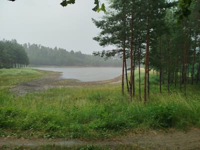 The image depicts a cloudy day by a body of water, likely a lake or pond, bordered by a forest. The foreground is dominated by tall green grass and a dirt path. Behind the grass is a sandy, muddy bank leading to the water. The water is calm and grey, reflecting the overcast sky. Across the water, a dense forest stretches to the horizon. The trees on the right side of the frame are tall pines with rough bark. The overall impression is one of a natural, somewhat desolate landscape, possibly in a rural or park-like setting. The location is identified as Skomorokhy, Ukraine. There are no people or animals visible in the scene.