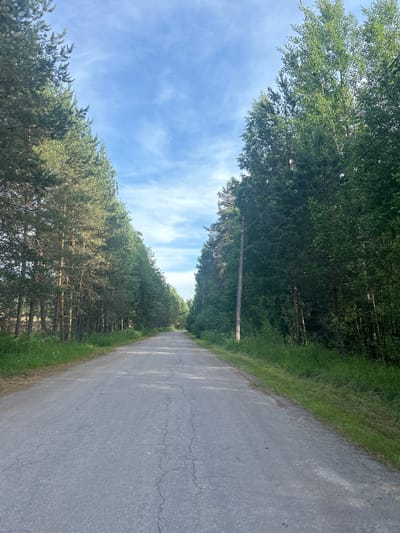 This media file depicts a paved road flanked by dense trees on the left and a grassy verge on the right. The road recedes into the distance, bordered by a canopy of green foliage that creates a tunnel-like effect. The sky above is a clear blue with wispy white clouds. A single utility pole with wires is visible among the trees, suggesting the presence of infrastructure in this semi-rural or forested area. The overall scene evokes a sense of tranquility and solitude, typical of a quiet road passing through a natural landscape. The lighting suggests it is daytime, possibly late morning or early afternoon, with bright sunlight casting shadows. The vegetation appears lush and green, indicative of a temperate climate during warmer months. No people or animals are visible. No text is present in the image. The scene appears to be located in Svetloe, Russia, based on the provided context.